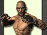 Fight Arena Online - play fighting game online