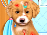 Dog Simulator: Puppy Craft - 🕹️ Online Game