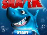 Play Miami Shark on Fantagames: Free Flash Games