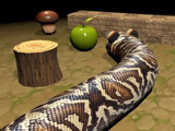 Jogo · Nova Snake 3D · Jogar Online Grátis